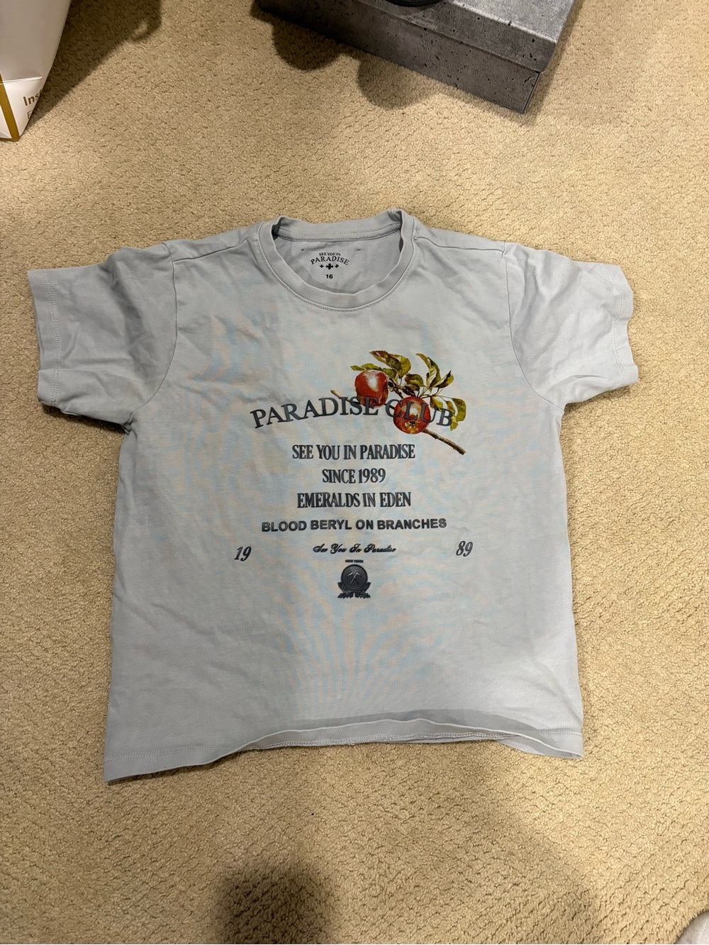 Paradise club boxy tee
